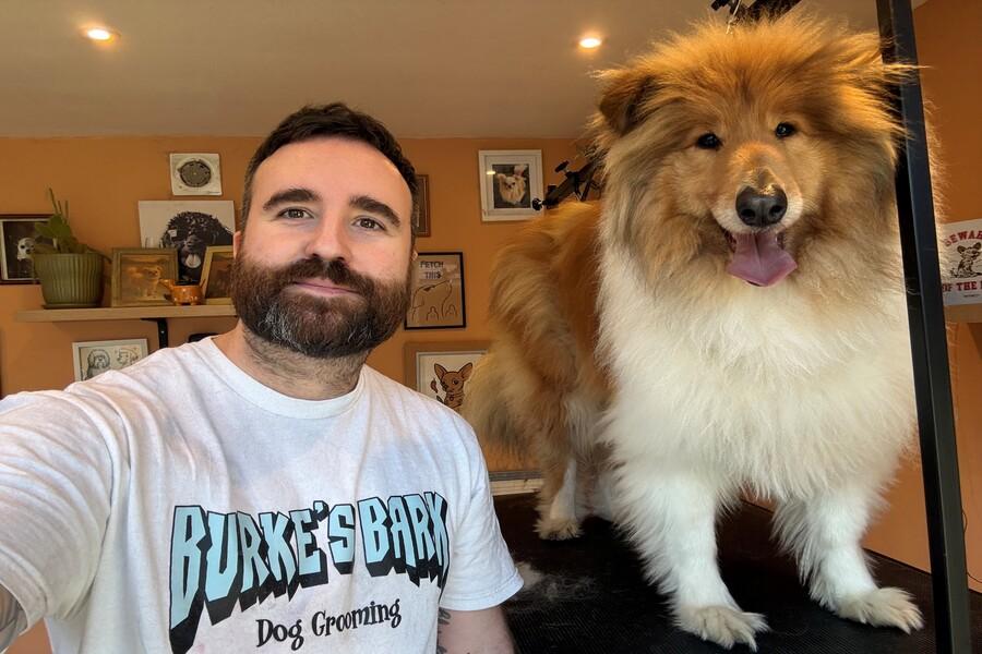 DogGrooming